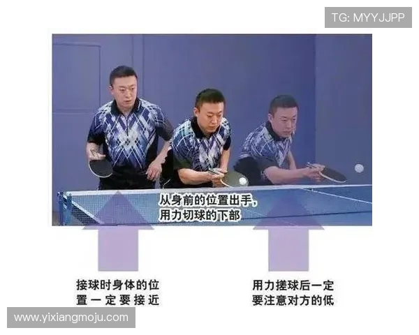 乒乓球深度剖析：杭州乒乓球队如何实现战术与技术的完美转换