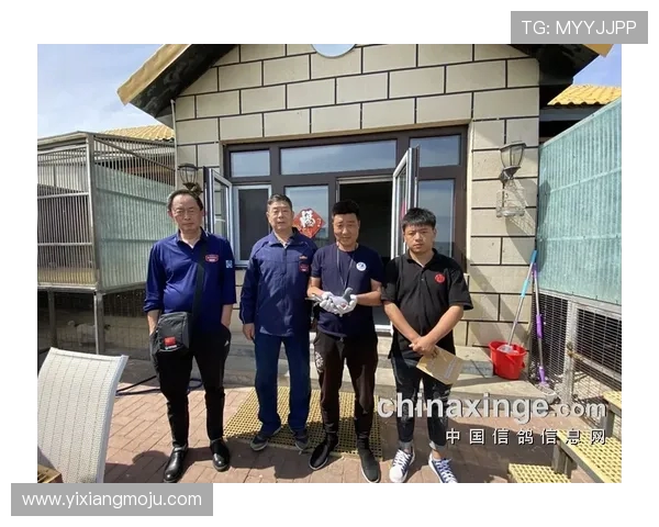 全球挑战赛特别报道：V5的逆袭之旅