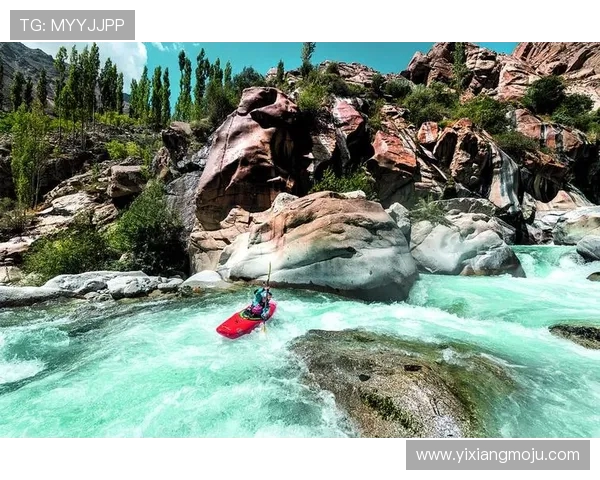 北京极限运动队灵活性对比研究及其对运动表现的影响分析