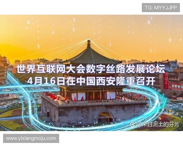 北京飞盘队运营分析：成功经验与面临挑战的全面探讨