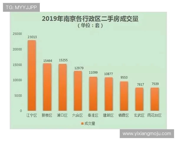 南京极限运动队的控制策略与发展趋势深度解析