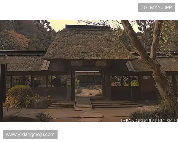 京都不敌枥木S的激烈对决分析与赛后反思