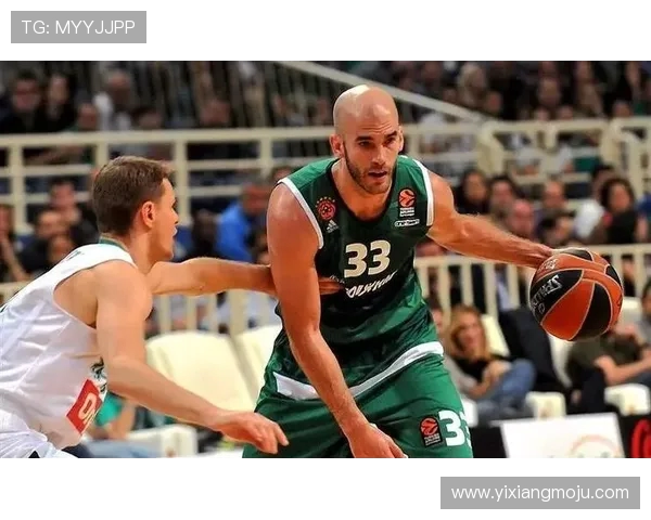 立陶宛与法国篮球对决精彩纷呈谁将赢得胜利成为焦点赛事