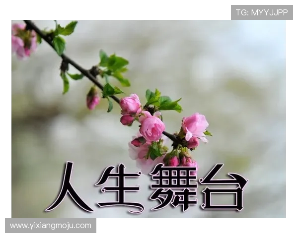 黄芳的足球人生深度对话：从绿茵场到人生舞台的精彩旅程