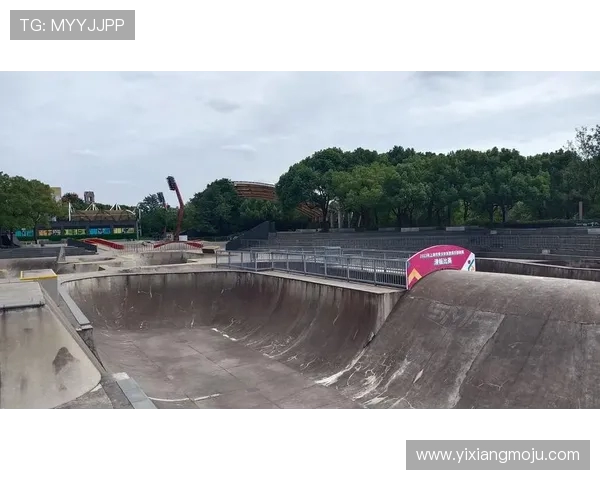 南京滑板队的阵地战揭秘：深度解析滑板文化与团队精神的交融