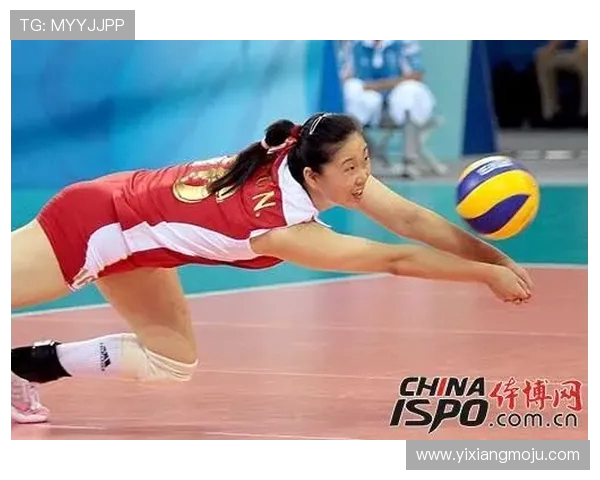 排球新手必看：力量训练基础与技巧全面解析助你快速提升球技