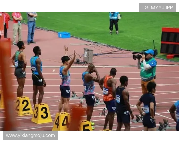 西安排球队在钻石联赛积分榜上以73分稳居第一名引发关注