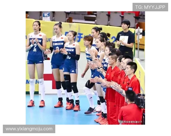 广州排球队心理素质引发热议球迷与专家的不同看法与分析