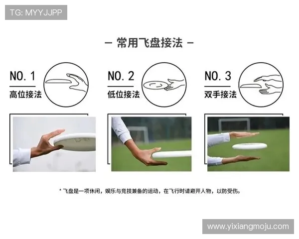 张敏独家：分享飞盘心得